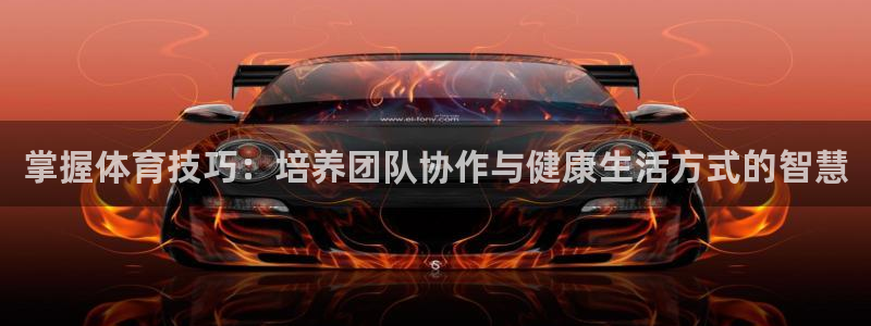米兰体育app下载：掌握体育技巧：培养团队协作与健康生活方式的智慧