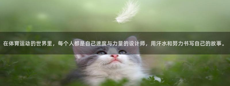 米兰体育网站：在体育运动的世界里，每个人都是自己速度与力量的设计师，用汗水和努力书写自己的故事。