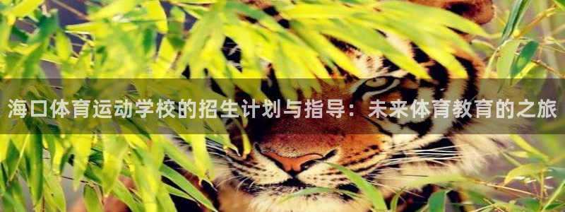 米兰体育网站：海口体育运动学校的招生计划与指导：未来体育教育的之旅