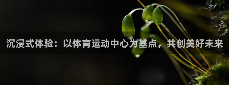 米兰体育登录：沉浸式体验：以体育运动中心为基点，共创美好未来