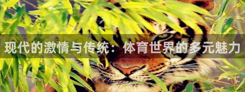 米兰体育官网：现代的激情与传统：体育世界的多元魅力