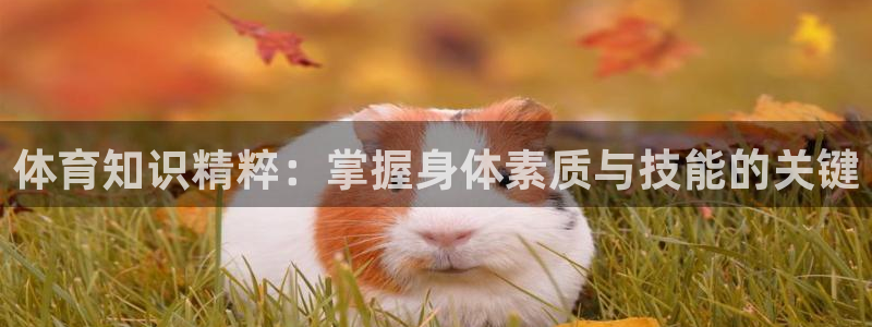米兰体育官方下载入口：体育知识精粹：掌握身体素质与技能的关键