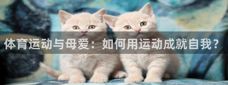 米兰体育登录