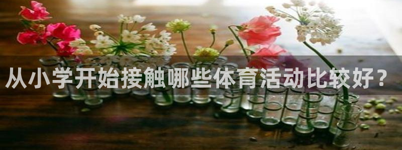 米兰体育